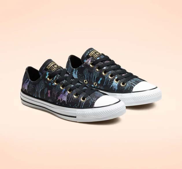 Converse Frozen
